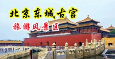 插入穴视频中国北京-东城古宫旅游风景区